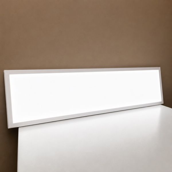 Led панель 300х1200 (295х1195) 48W 4080Lm 6500К IP20 PROFI 25328 фото