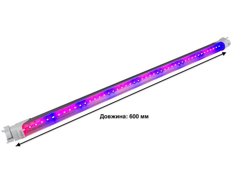 Фітолампа Т8 60см 8Вт 600 мм для квітів світлодіодна SMD2835 4 red 2 blue 25400 фото
