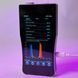 Фитолампа для растений 20W Full Spectrum 2 ветки USB с таймером на прищепке 28765 фото 4