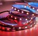 Адресная летна лед SMD 5050 RGB 5V 60 д.м. IP20 WS2812b на белой подложке Led Story Standart 25247 фото 2