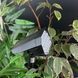 Світильник грунтовий 1Вт 5В вбудована сонячна панель IP54 6500К біле холодне світло 25513 фото 2