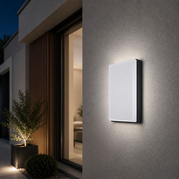Led світильники настінні 24W 5000K IP54 прямокутний 25299 фото